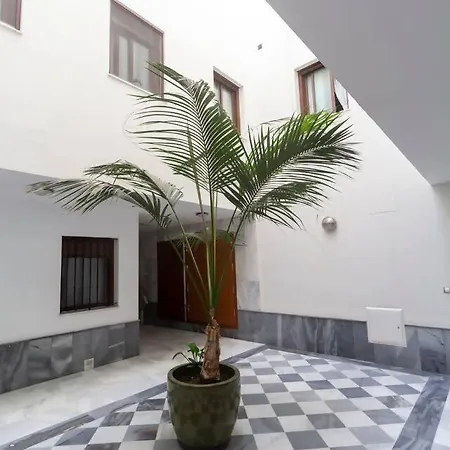 Sh Piluca's Moderno Con Patio